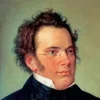 Franz Schubert 5D Diamond Painting