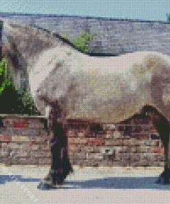 Highland Pony Horse 5D Diamond Painting