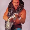Jake Roberts The Snake 5D Diamond Painting