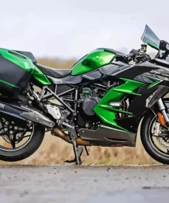 Green Kawasaki H2r 5D Diamond Painting