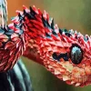 Red Black Bush Snake 5D Diamond Painting