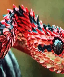 Red Black Bush Snake 5D Diamond Painting