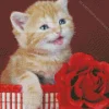Rose And Cat 5D Diamond Painting
