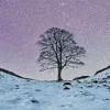 Sycamore Gap Tree 5D Diamond Painting