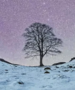 Sycamore Gap Tree 5D Diamond Painting