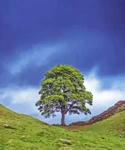 Sycamore Gap 5D Diamond Painting