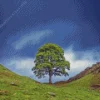 Sycamore Gap 5D Diamond Painting