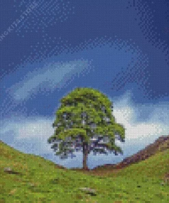 Sycamore Gap 5D Diamond Painting