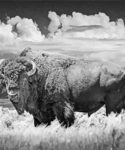 Black And White Buffalo 5D Diamond Painting