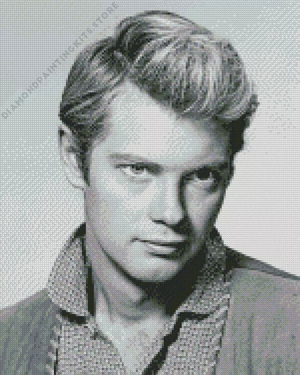 black and white troy donahue Diamond By Numbers