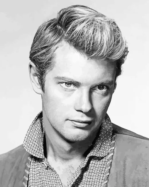 black and white troy donahue Diamond With Numbers Black And White Troy Donahue 5D Diamond Painting