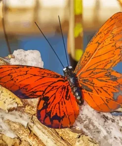 Burnt Orange Butterfly 5D Diamond Painting