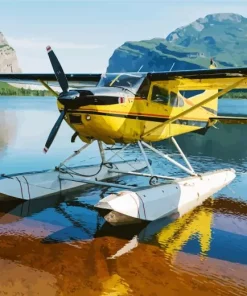 Bush Plane 5D Diamond Painting