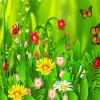 Butterflies And Ladybugs 5D Diamond Painting