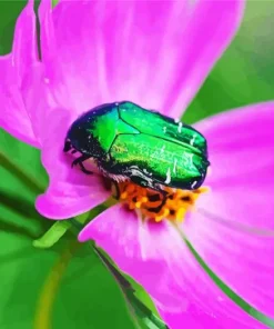 Green June Beetle 5D Diamond Painting