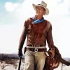 John Wayne Hondo 5D Diamond Painting