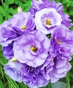 Lisianthus Flowers 5D Diamond Painting