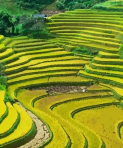 Rice Terraces Landscape 5D Diamond Painting