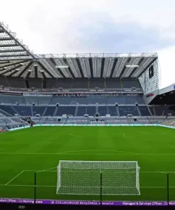 St James Park Stadium 5D Diamond Painting