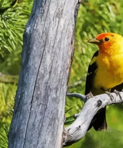 Western Tanager Bird 5D Diamond Painting