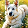 White German Shepherd 5D Diamond Painting