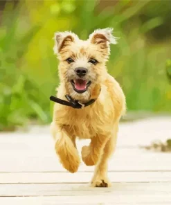 Blonde Cairn Terrier Dog 5D Diamond Painting