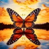 Monarch Butterfly Reflection 5D Diamond Painting