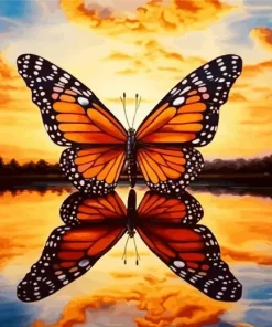 Monarch Butterfly Reflection 5D Diamond Painting