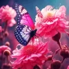 Butterfly On Pink Flower 5D Diamond Painting