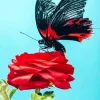 Butterfly On Red Flower 5D Diamond Painting