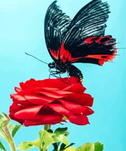 Butterfly On Red Flower 5D Diamond Painting