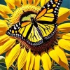 Butterfly On Sunflower 5D Diamond Painting