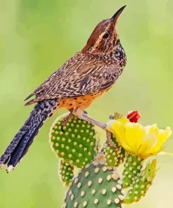 Cactus Wren Bird 5D Diamond Painting