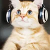 Cat Wearing Headphones 5D Diamond Painting