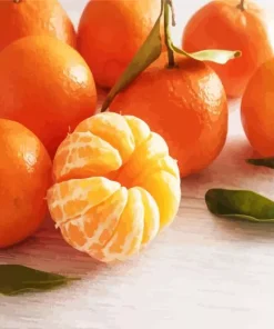 Mandarin Orange 5D Diamond Painting