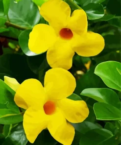 Yellow Mandevilla Flowers 5D Diamond Painting