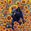 Black Cat And Sunflowers 5D Diamond Painting