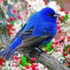 Blue Canary Bird 5D Diamond Painting