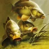 Carp Fish Underwater 5D Diamond Painting