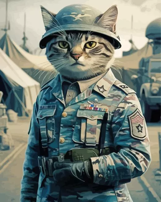 Cat in military uniform Diamond By Numbers Cat In Military Uniform 5D Diamond Painting