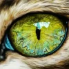 Green Cat Eye 5D Diamond Painting