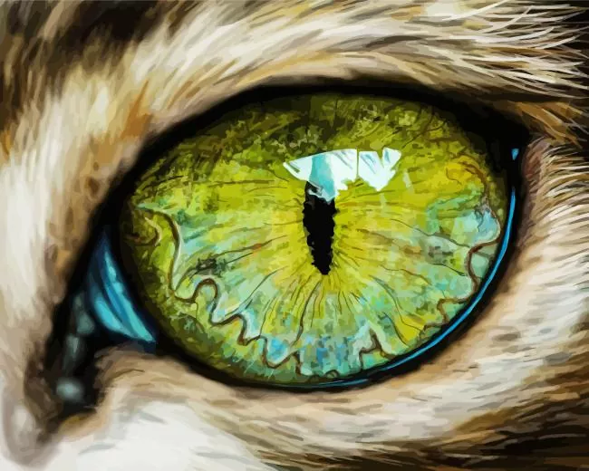 Green Cat Eye Diamond By Numbers Green Cat Eye 5D Diamond Painting