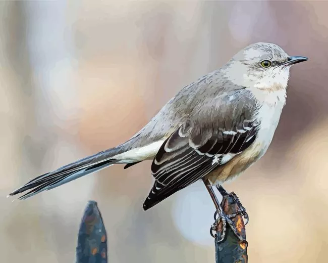 Mockingbird Diamond Paintings Mockingbird 5D Diamond Painting