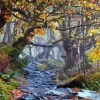 National Trust Padley Gorge 5D Diamond Painting
