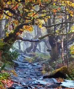 National Trust Padley Gorge 5D Diamond Painting