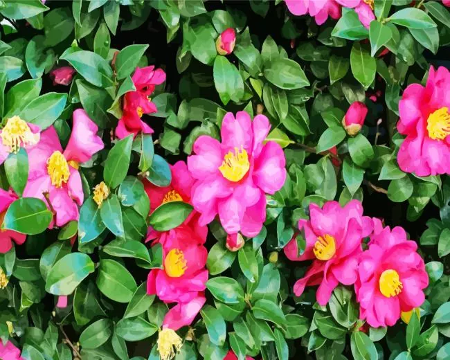 Pink Camellia Flowers Diamond Paints Pink Camellia Flowers 5D Diamond Painting