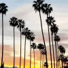 California Palm Trees Sunset 5D Diamond Painting