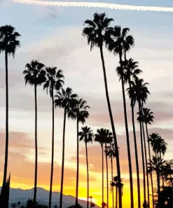 California Palm Trees Sunset 5D Diamond Painting