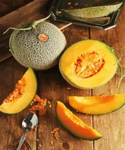 Cantaloupe Fruit 5D Diamond Painting