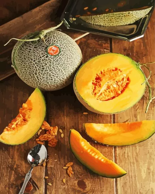 cantaloupe fruit Diamond Paintings Cantaloupe Fruit 5D Diamond Painting